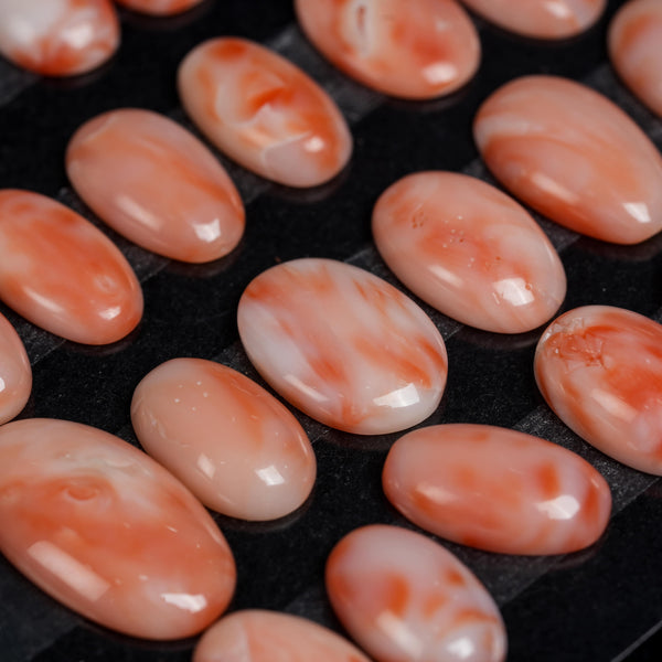 Japanese White Pink Coral Oval Shaped Smooth Flat Back